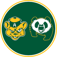 Golden Bears & Pandas
